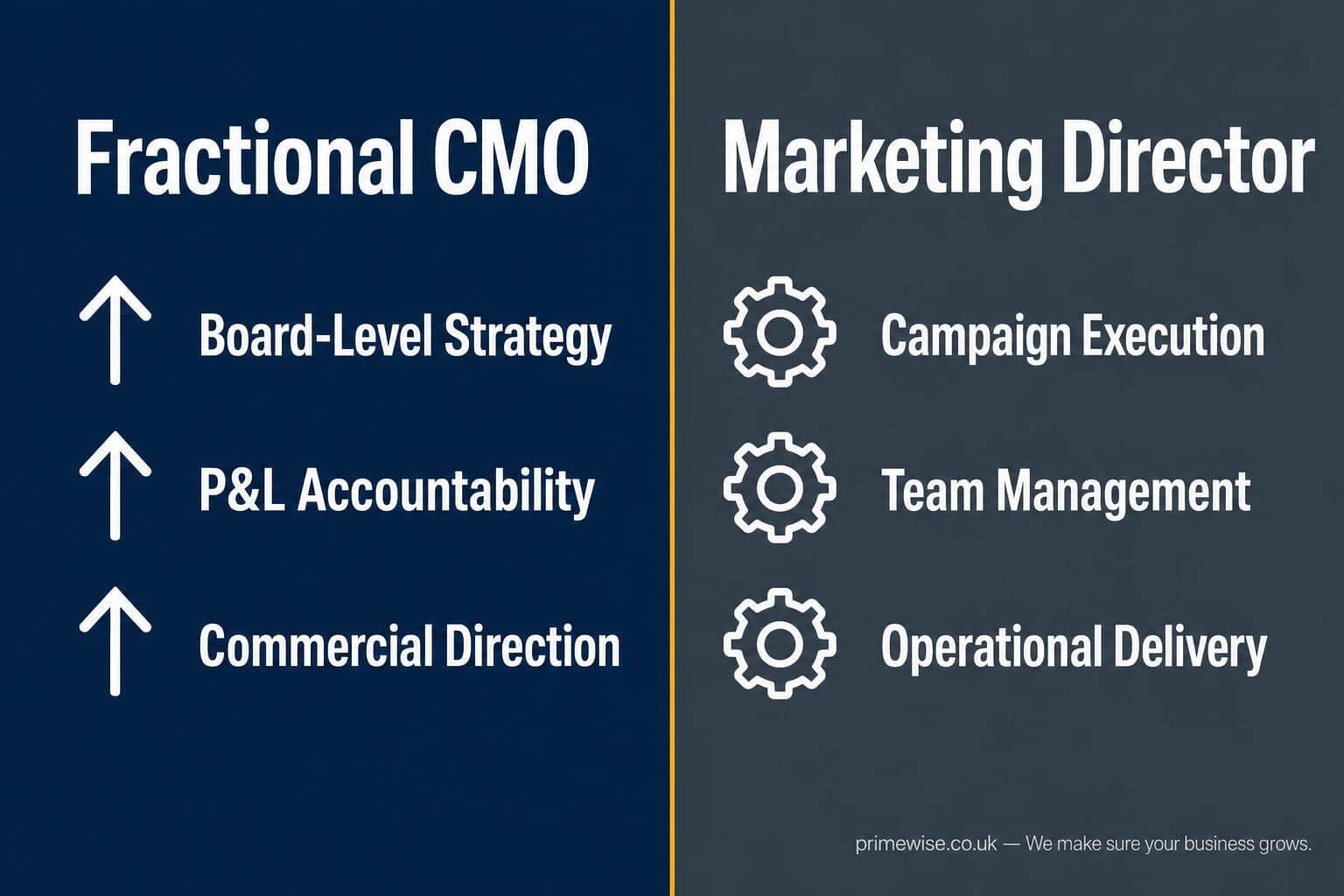 fractional-cmo-vs-marketing-director